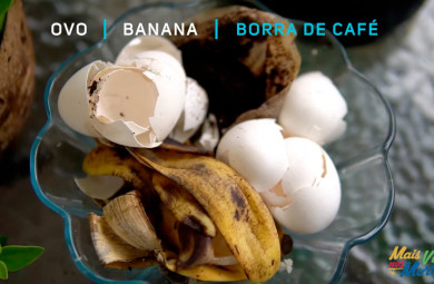 Cascas de banana, cascas de ovo e borra de café