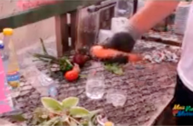 Vídeo mostra como preparar mudas para horta caseira